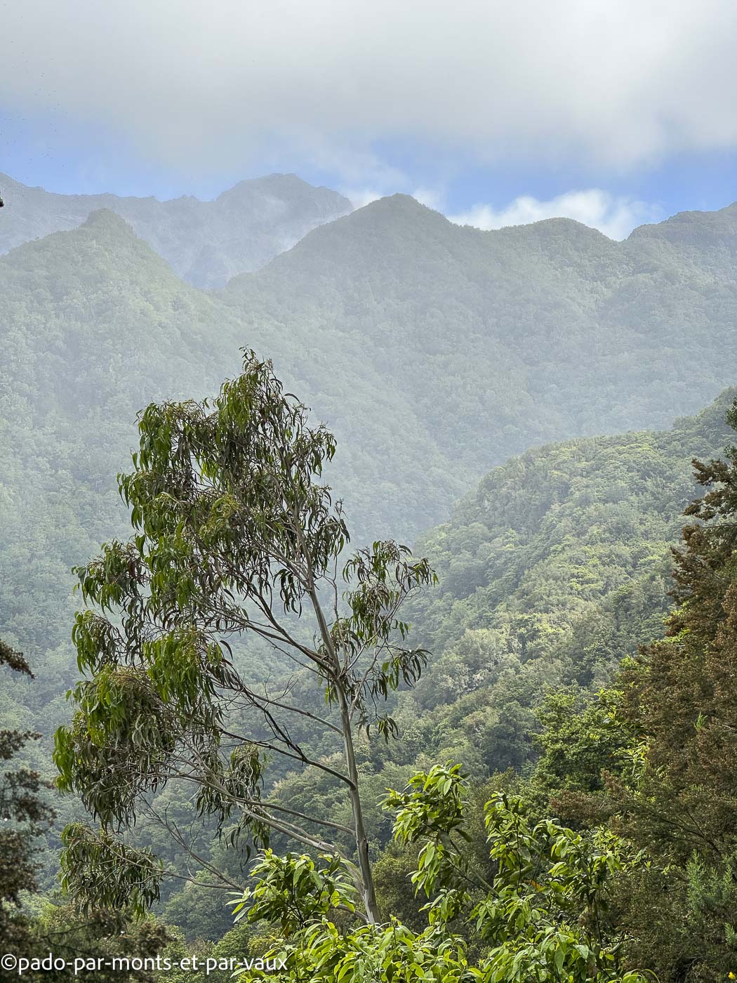Madere-Levada do Rei Madere - Levada do Rei