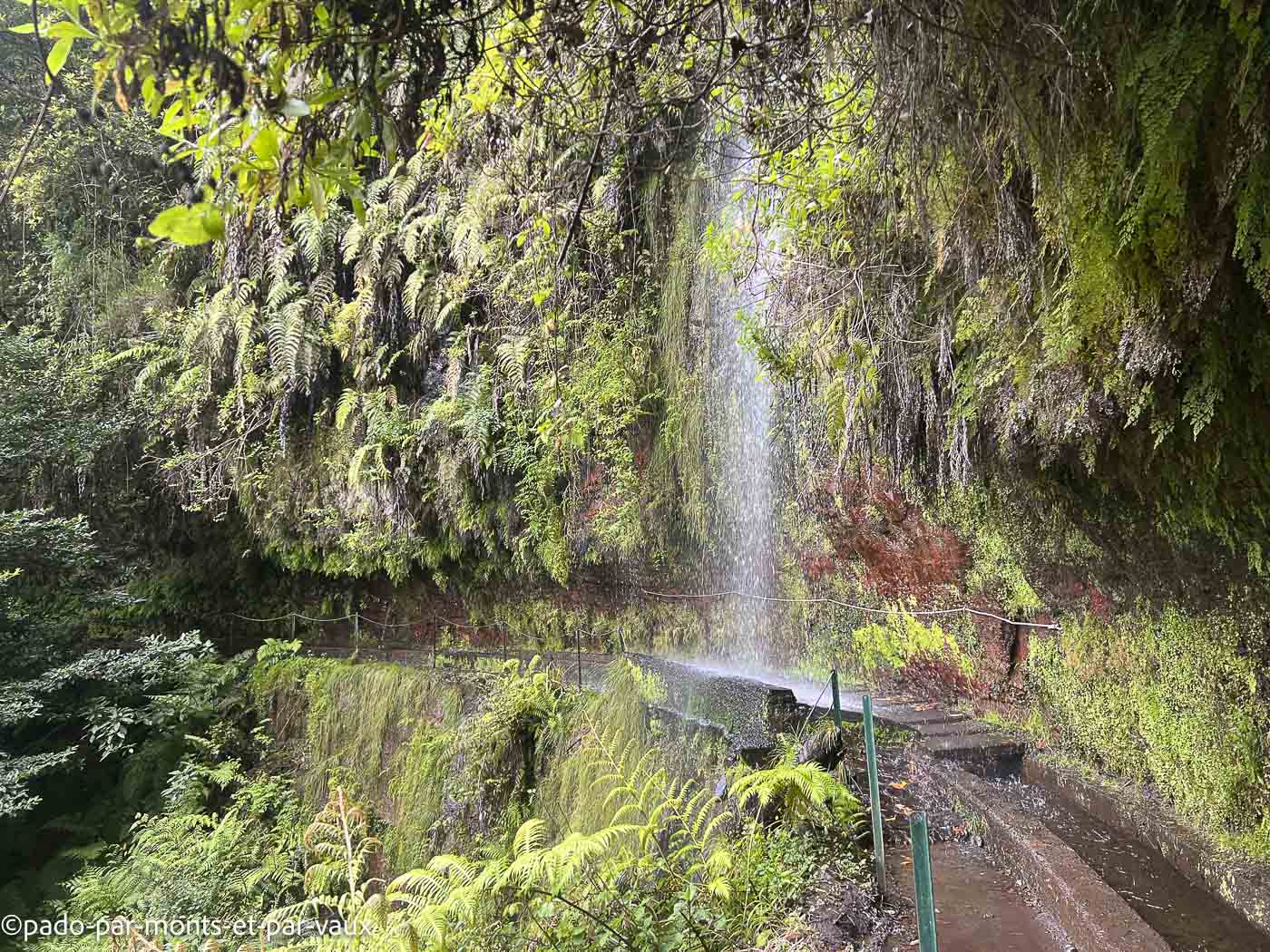 Madere-Levada do Rei Madere - Levada do Rei