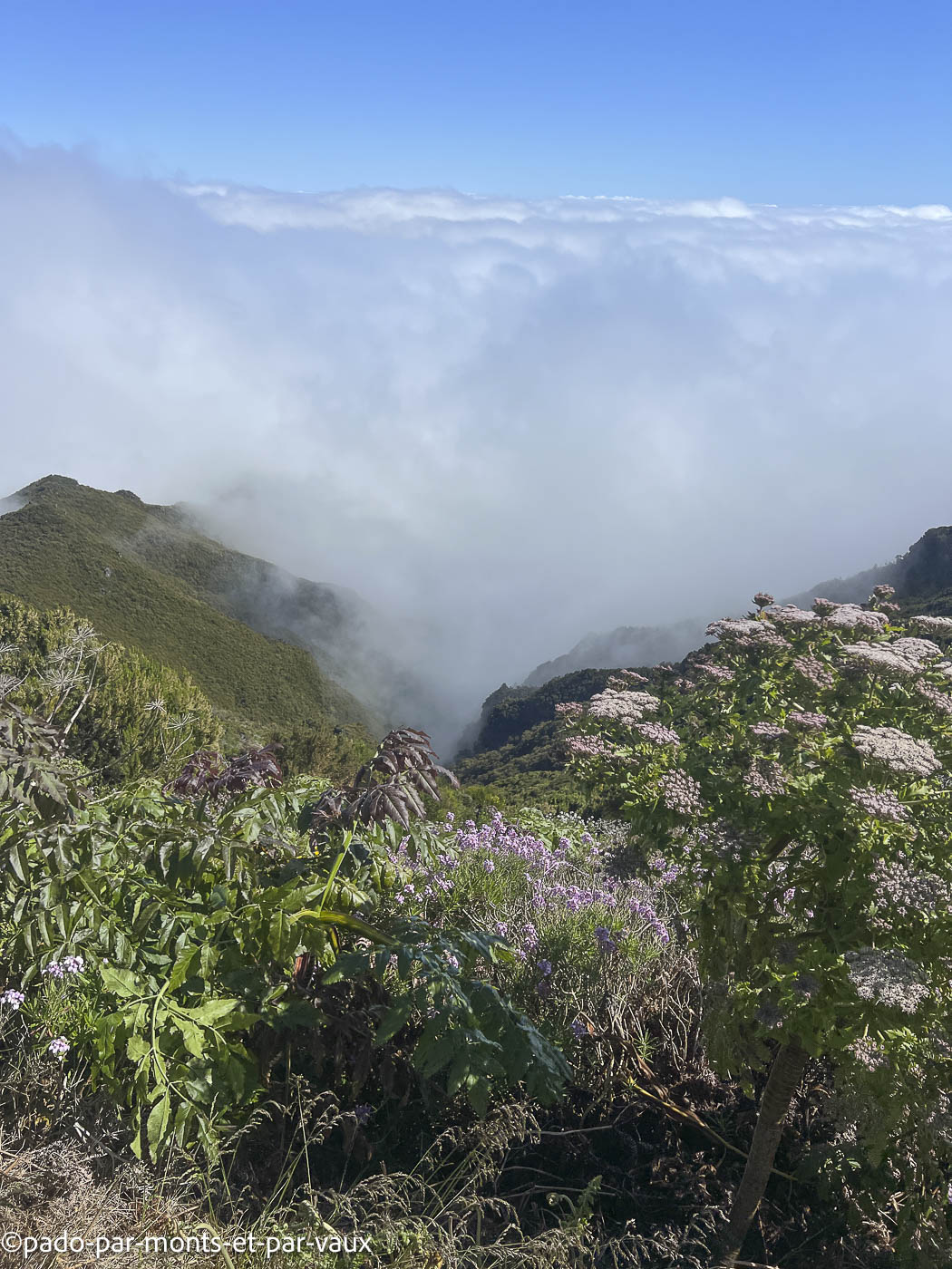 Madere-Pico Ruivo Madere-Pico Ruivo