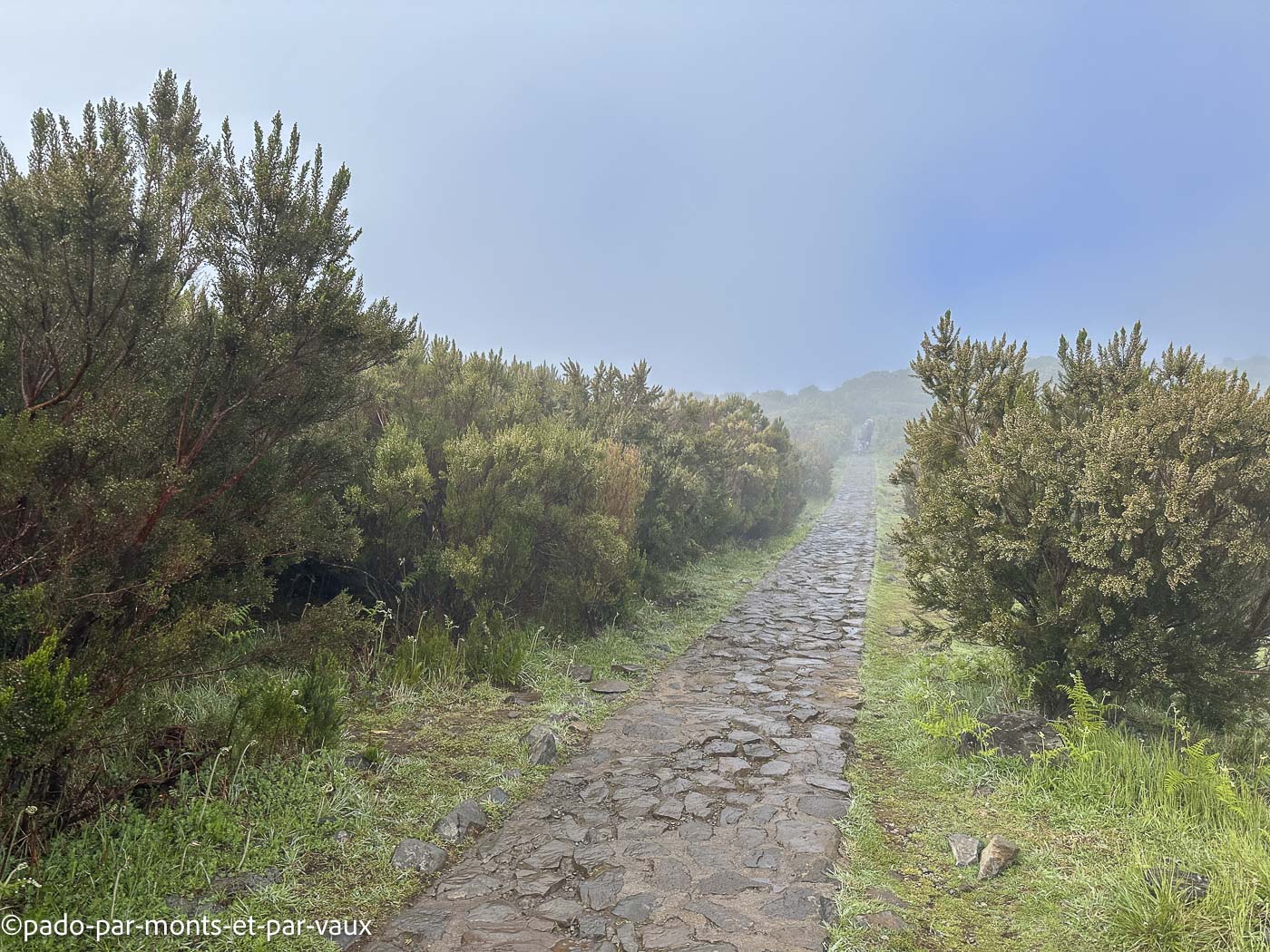 Madere-Pico Ruivo Madere-Pico Ruivo