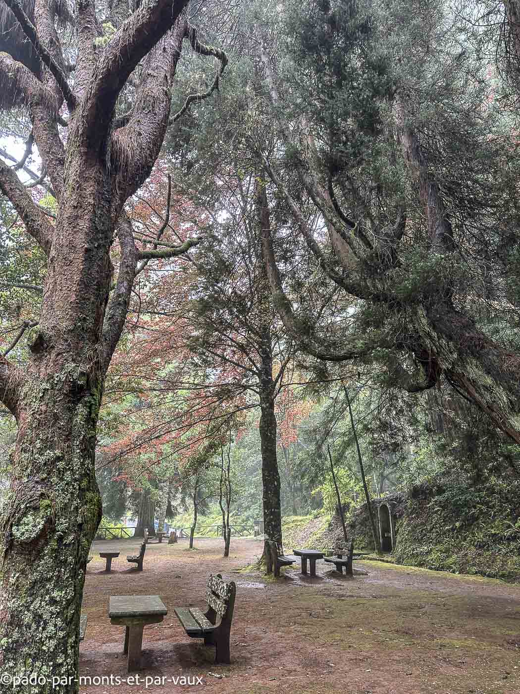 Madere-rando Queimadas-Pico das pedras Madere-rando Queimadas-Pico das pedras