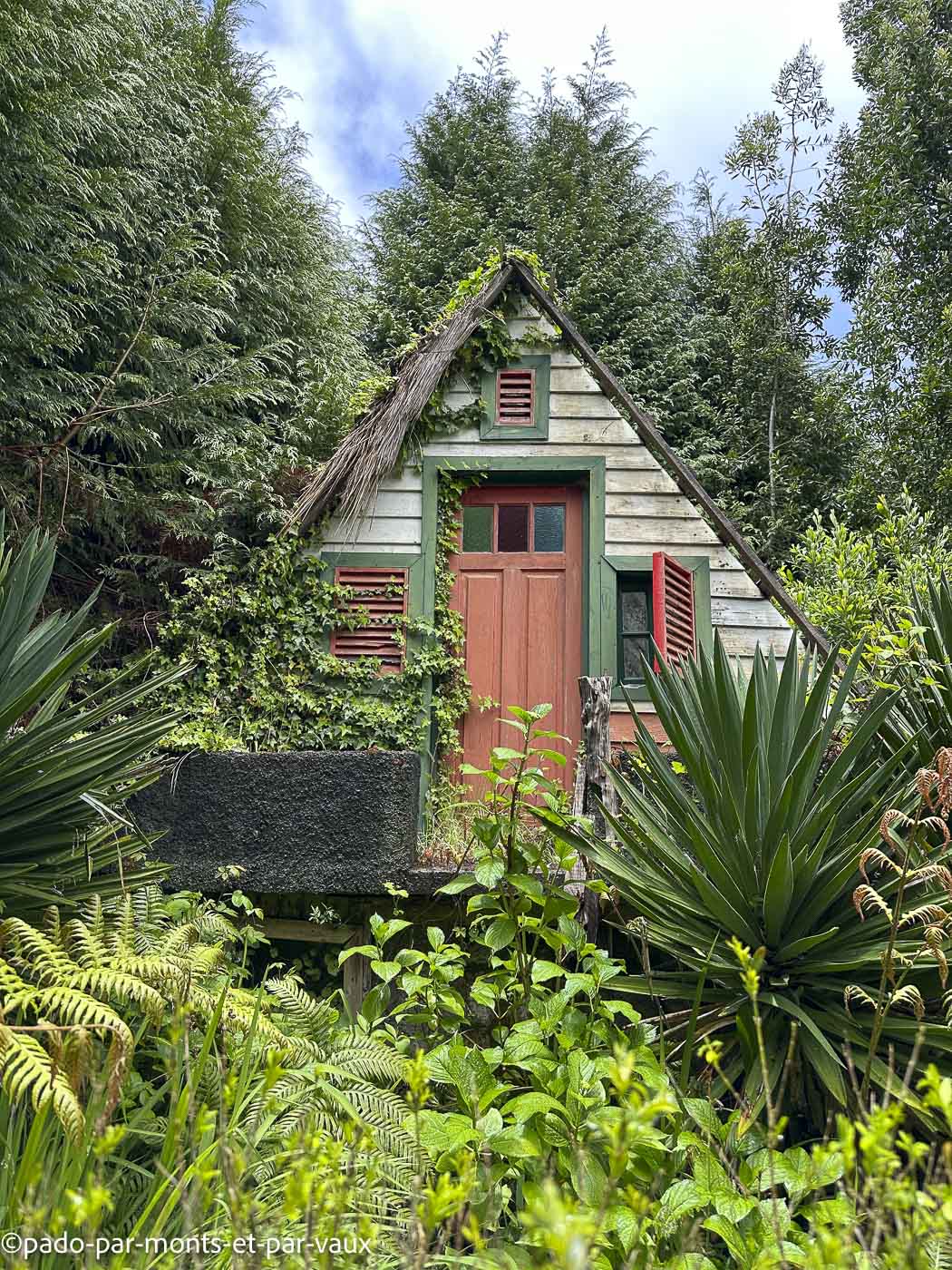 Madere-rando Queimadas-Pico das pedras Madere-rando Queimadas-Pico das pedras