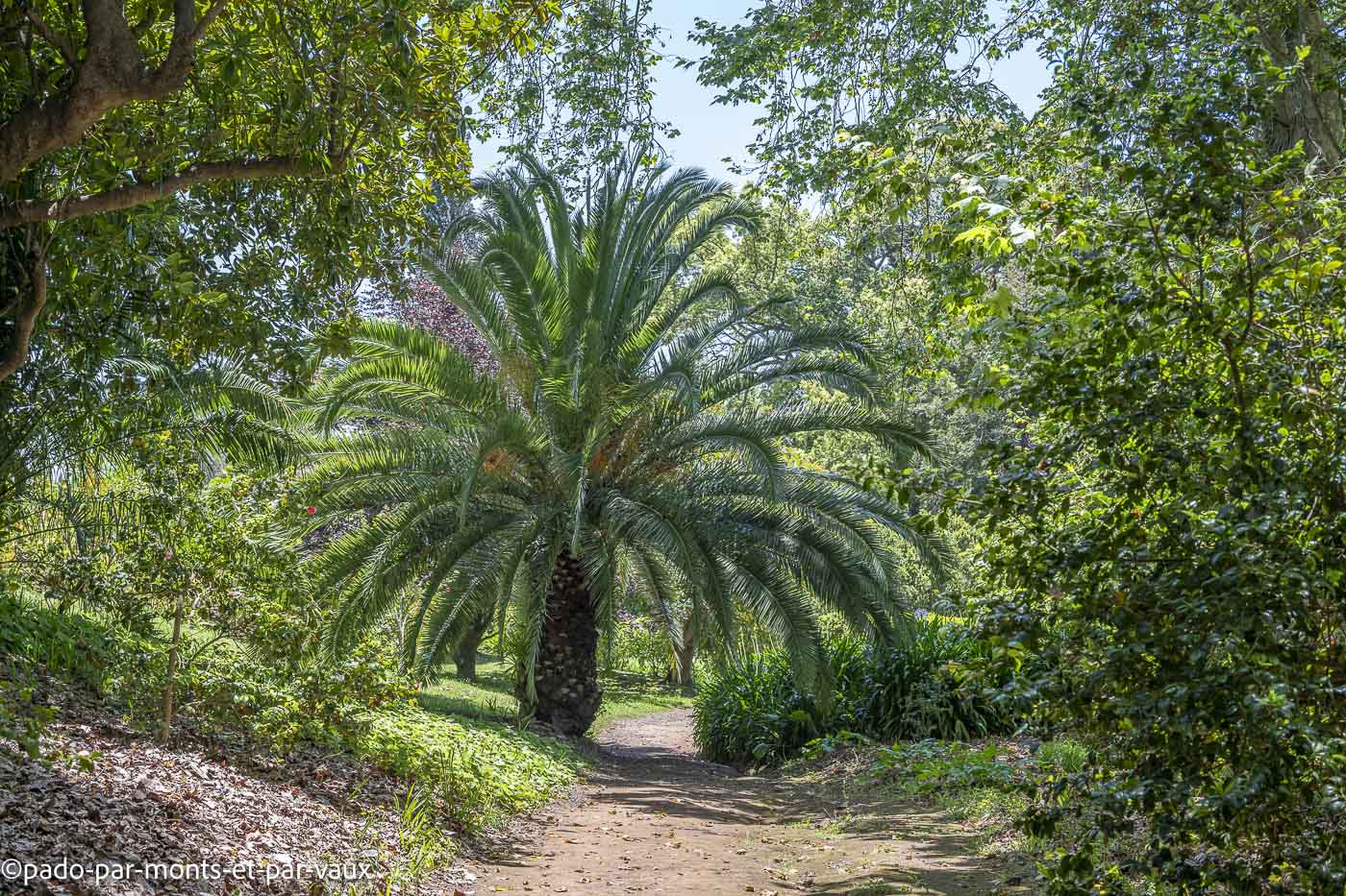 Madere-jardin Palheiro Madere-jardins Palheiro