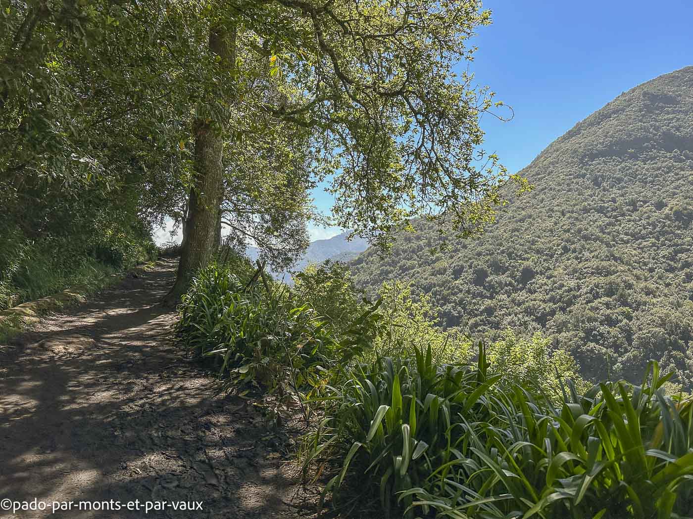 Madere-Balcon de Ribeiro Frio Madere-Balcon de Ribeiro Frio