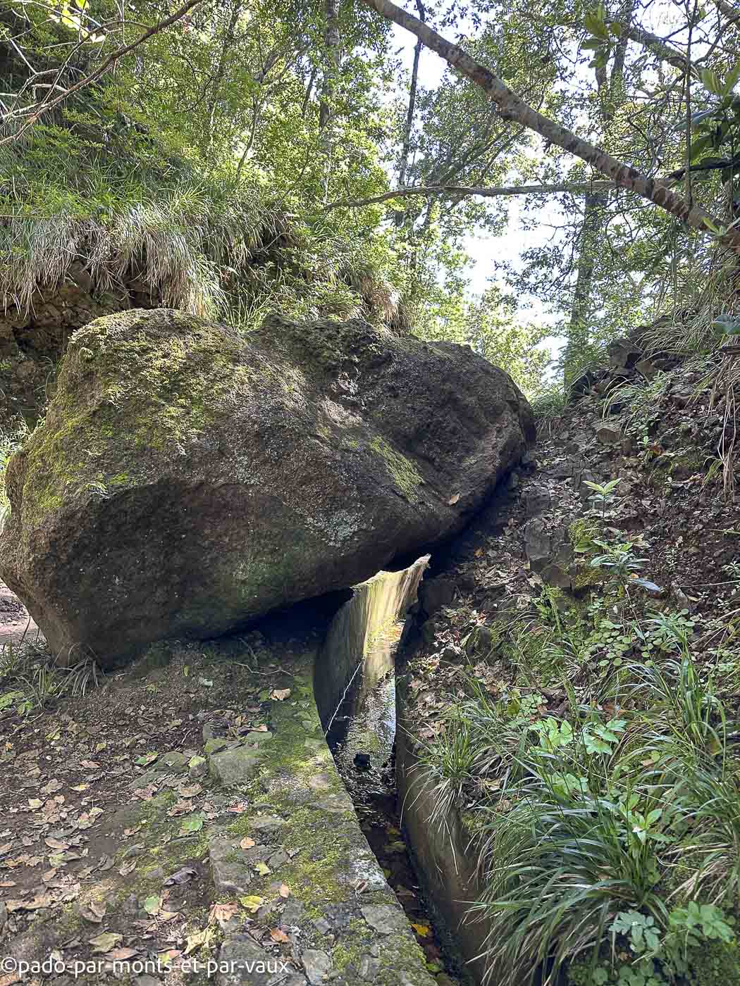 Madere-Balcon de Ribeiro Frio Madere-Balcon de Ribeiro Frio