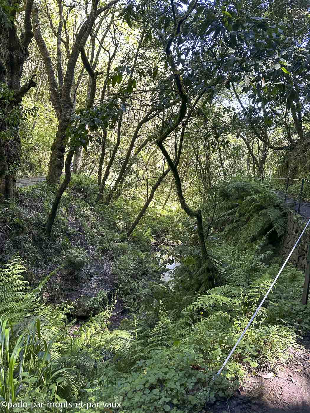 Madere-Balcon de Ribeiro Frio Madere-Balcon de Ribeiro Frio