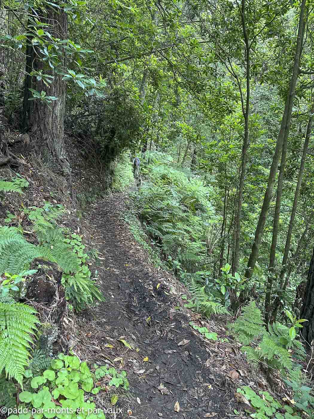 Madere-vereda das Funduras Madere-vereda das Funduras