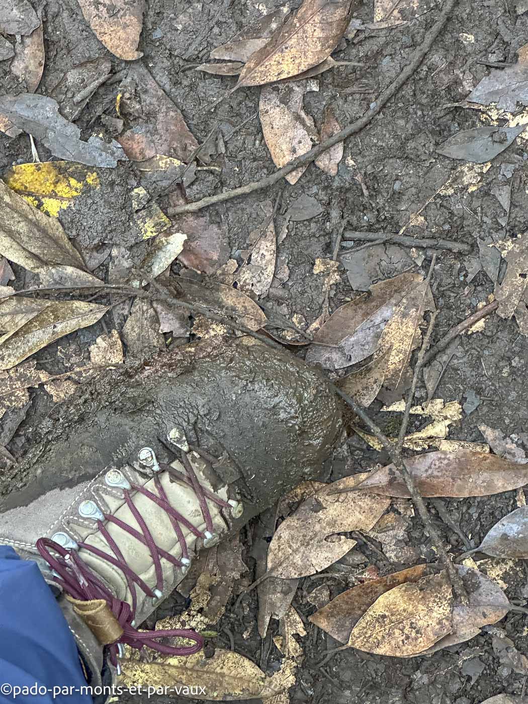 Madere-vereda das Funduras Madere-vereda das Funduras