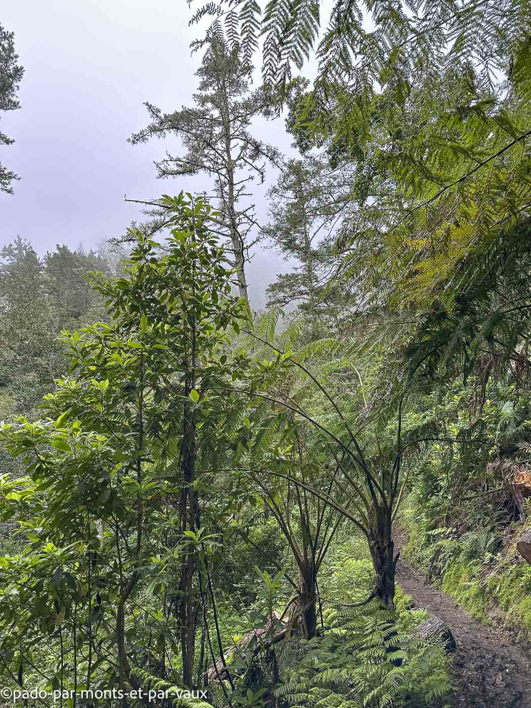 Madere-vereda das Funduras Madere-vereda das Funduras