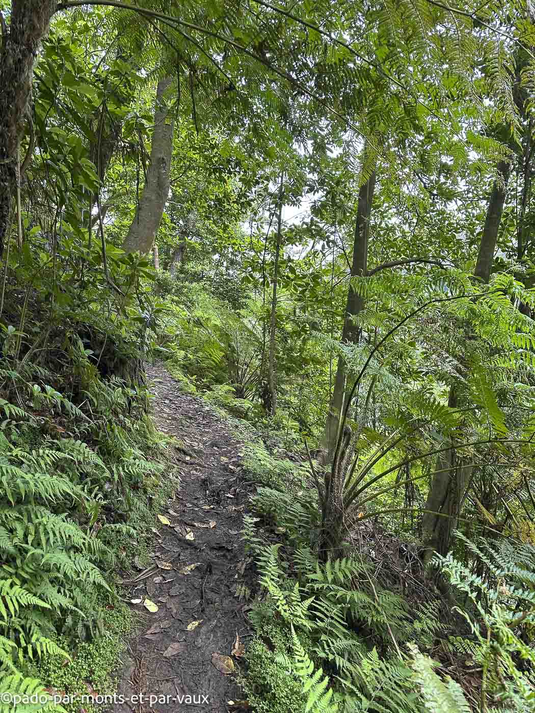 Madere-vereda das Funduras Madere-vereda das Funduras