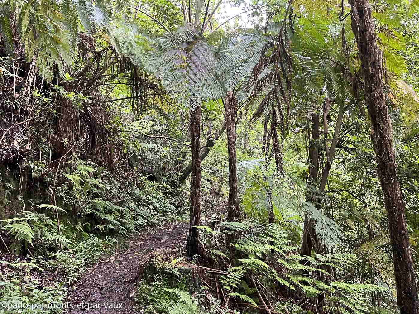 Madere-vereda das Funduras Madere-vereda das Funduras