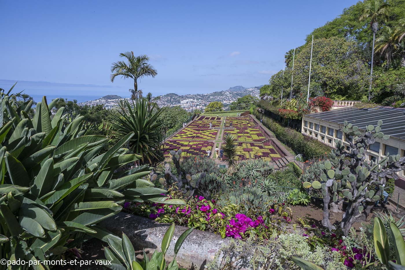 Funchal - jardin botanique
