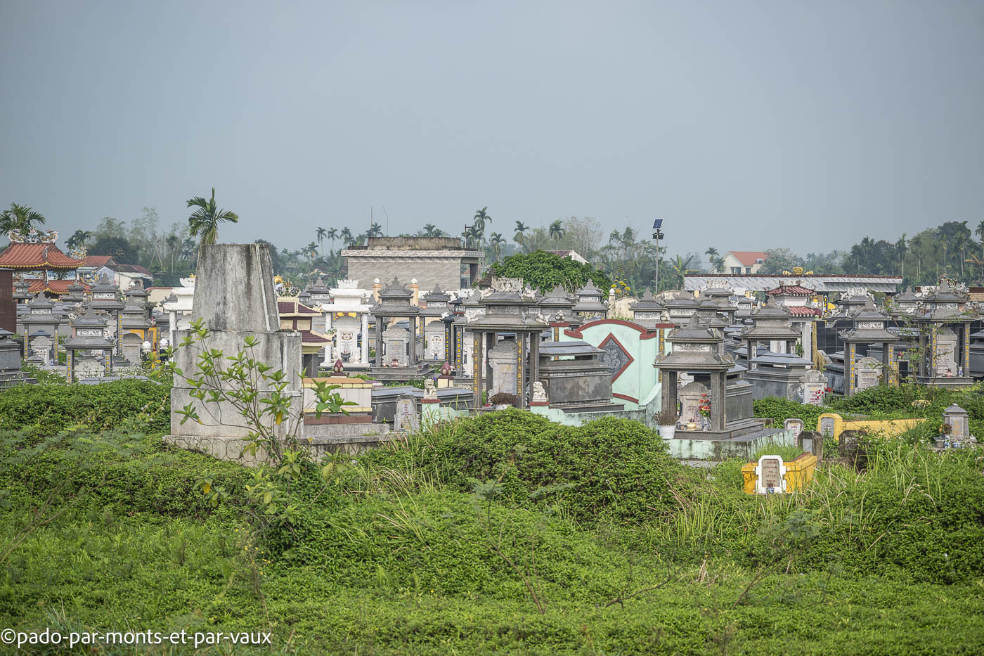 route de My Son route de My Son