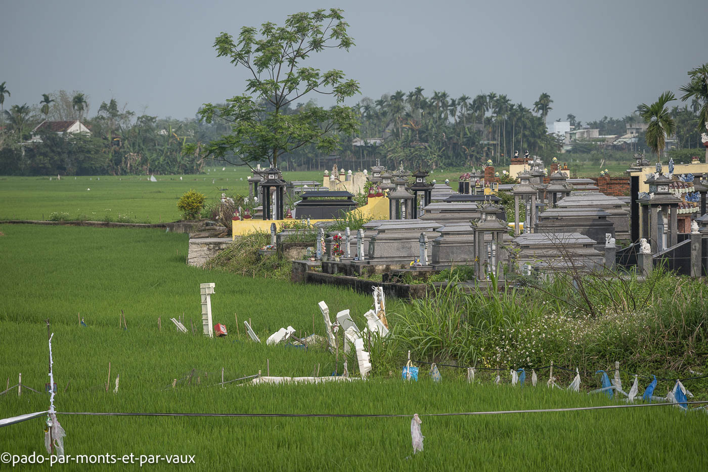 route de My Son route de My Son