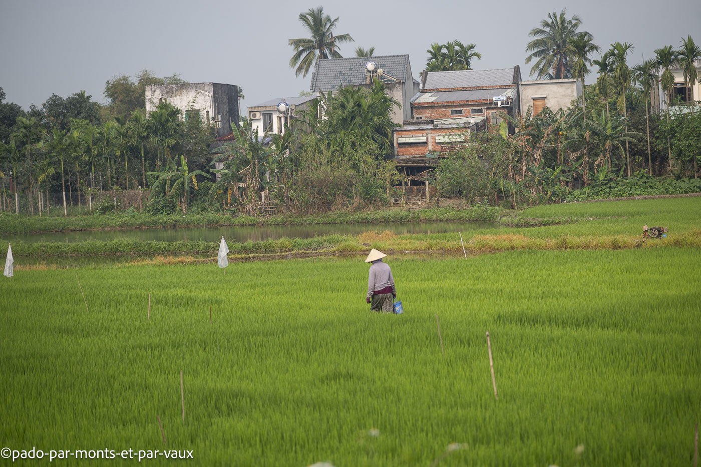 route de My Son route de My Son