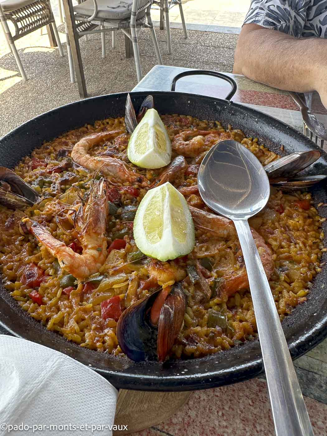 Lanzarote-Arrecife-paella Lanzarote-Arrecife-paella