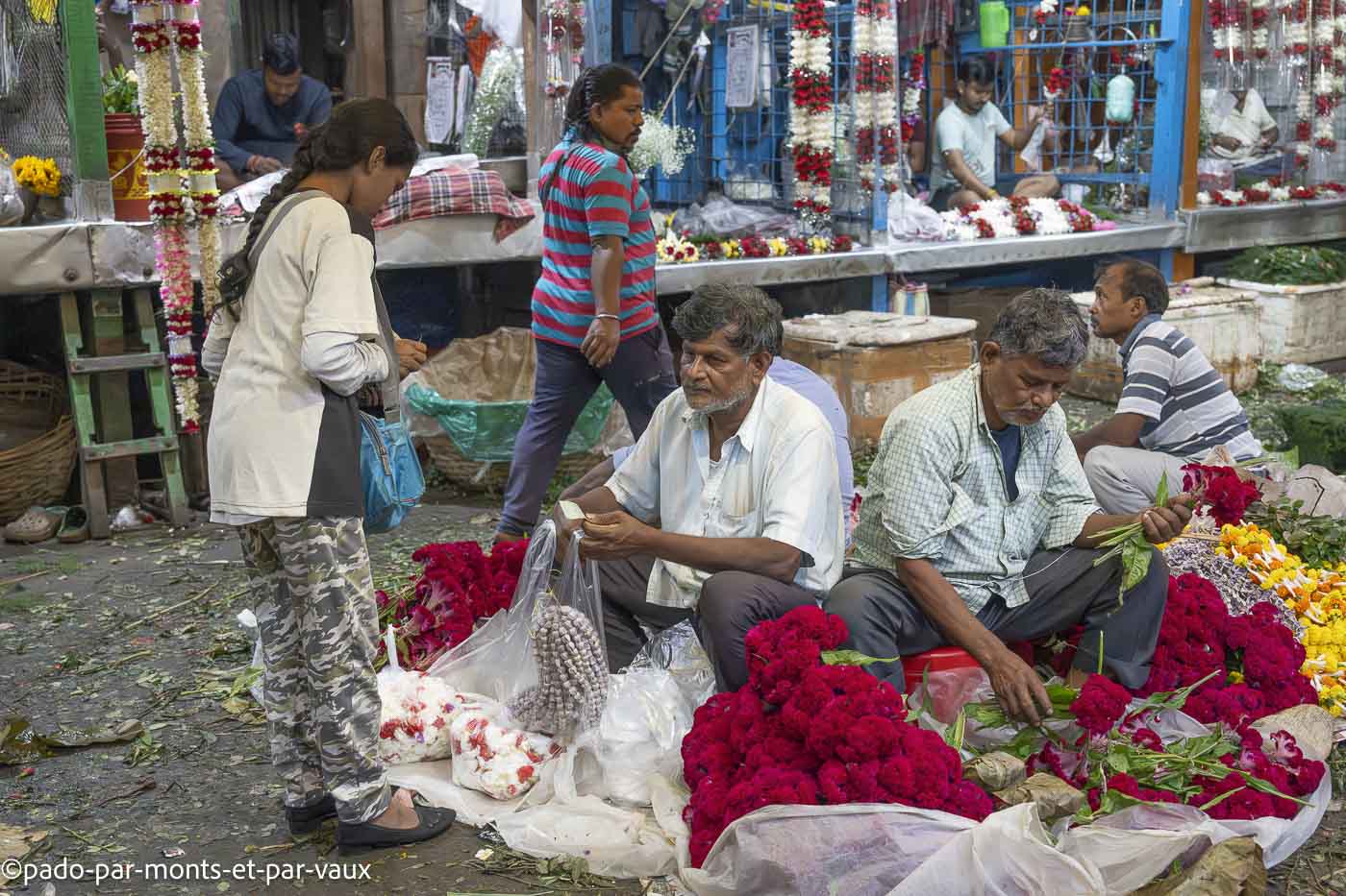 Inde-Kolkata Inde-Kolkata-marche aux fleurs